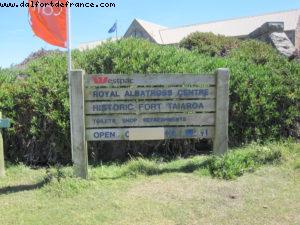 Dunedin - Our 32nd Atlantis cruise (Volendam)