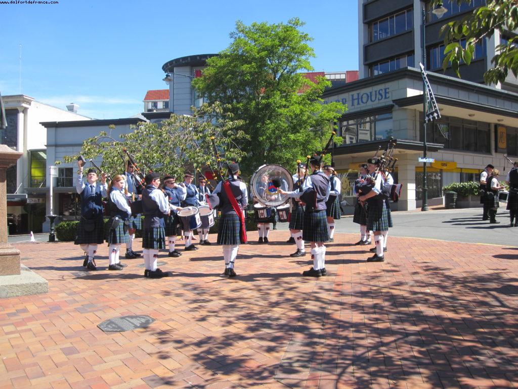 Dunedin - Our 32nd Atlantis cruise (Volendam)