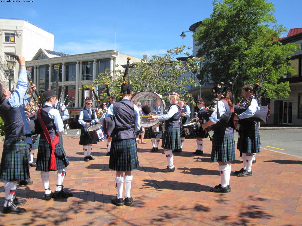 Dunedin - Our 32nd Atlantis cruise (Volendam)