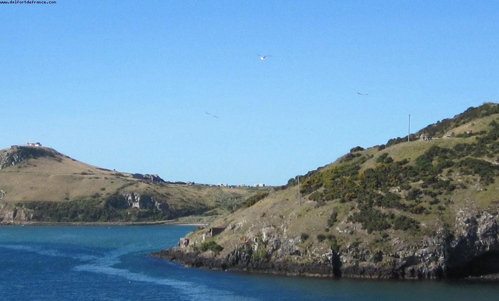 Dunedin - Our 32nd Atlantis cruise (Volendam)