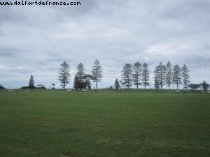 Wollongong - Mardi Gras - Sydney