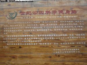 Century Park - Shanghai