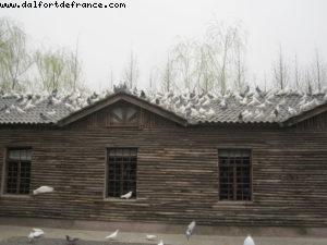 Century Park - Shanghai