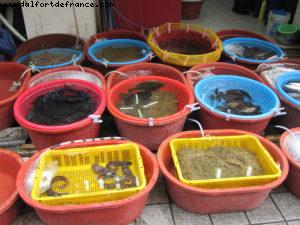 Fish Market - Busan - Our 33rd Atlantis cruise (Azamara Quest)