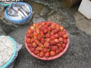 Fish Market - Busan - Our 33rd Atlantis cruise (Azamara Quest)