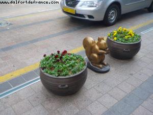 Busan - Our 33rd Atlantis cruise (Azamara Quest)