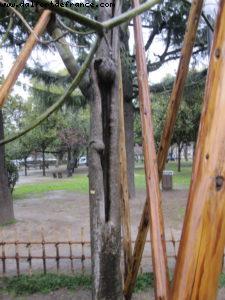 Hiroshima - Our 33rd Atlantis cruise (Azamara Quest)