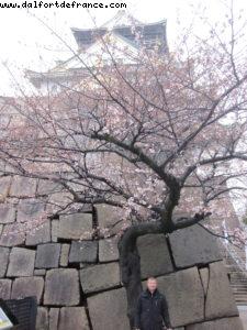 Osaka - Our 33rd Atlantis cruise (Azamara Quest)