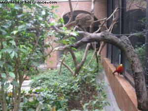 Botanical Garden - Hong Kong