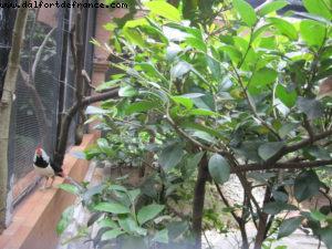 Botanical Garden - Hong Kong