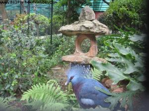 Botanical Garden - Hong Kong