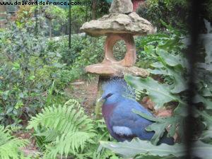 Botanical Garden - Hong Kong