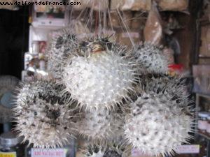 Nah Trang - Our 34th Atlantis cruise (Azamara Quest)