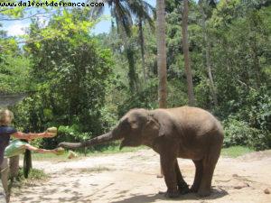 Koh Samui - Our 34th Atlantis cruise (Azamara Quest)