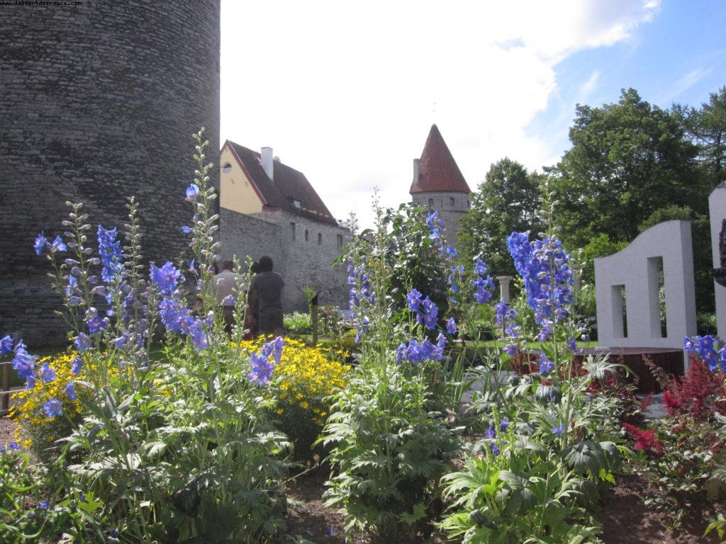 Tallin - Our 35th Atlantis cruise (Eurodam)