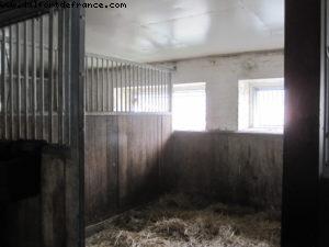 Savijarvi Farm - Our 35th Atlantis cruise (Eurodam)