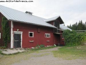 Savijarvi Farm - Our 35th Atlantis cruise (Eurodam)