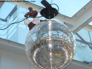 Our 35th Atlantis cruise (Eurodam)