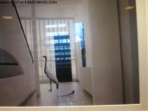 Notre 37eme croisière Atlantis (à bord du Celebrity equinox)