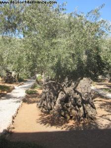 Jerusalem - Notre 37eme croisière Atlantis (à bord du Celebrity equinox)