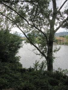 Vina Tondonia Lopez Heredia