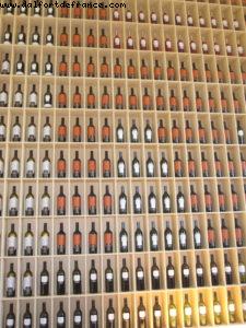 Hotel Marqués de Riscal 