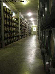 Marqués de Riscal Bodega