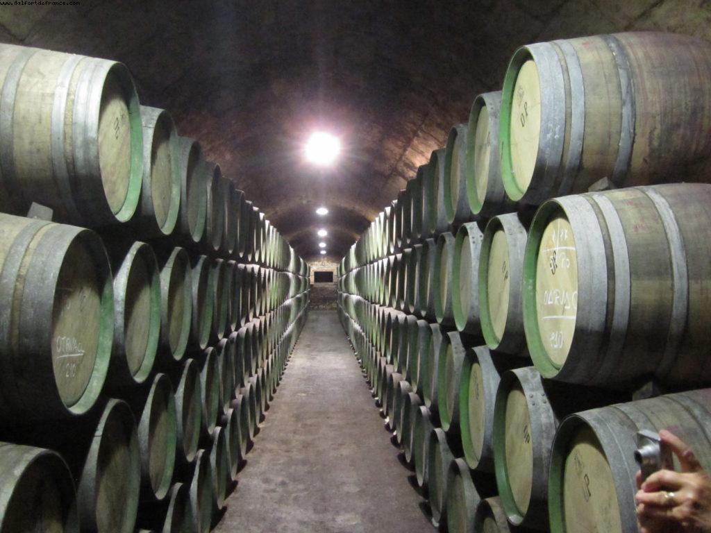 Marqués de Riscal Bodega