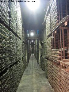 Marqués de Riscal Bodega