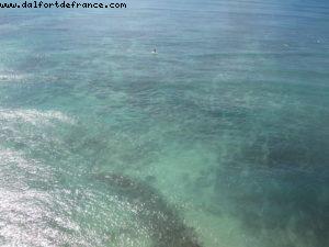 Hôtel Sheraton Waikiki - Honolulu