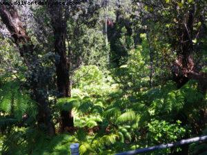 Kilauea- Parc national du volcan - Big Island (La Grande île) - Hawaii - Notre 7eme croisière RSVP (à bord du Pride of Hawaii)