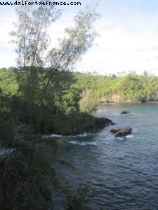 Baie d'Onomea - Hilo- Big Island (La Grande île) - Notre 7eme croisière RSVP (à bord du Pride of Hawaii)