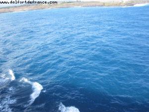 Notre 7eme croisière RSVP (à bord du Pride of Hawaii)