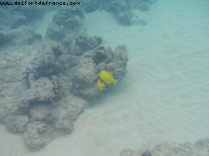 Little Beach - Maui - Hawaii - Notre 7eme croisière RSVP (à bord du Pride of Hawaii)