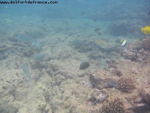 Little Beach - Maui - Hawaii - Notre 7eme croisière RSVP (à bord du Pride of Hawaii)