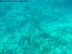 Little Beach - Maui - Hawaii - Notre 7eme croisière RSVP (à bord du Pride of Hawaii)