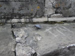 Great Wall - Beijing