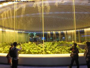 China Pavillion - Shanghai Expo