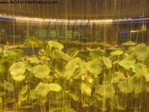 China Pavillion - Shanghai Expo