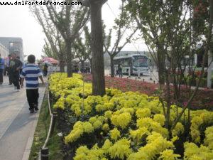 Shanghai Expo - China