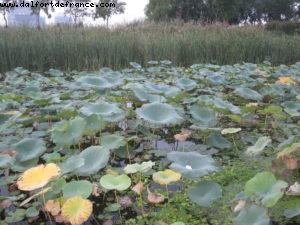 Expo Park - Shanghai Expo - China