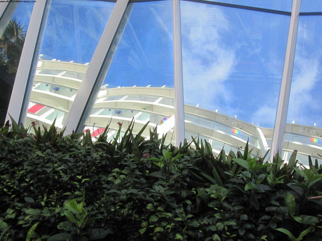 Views from Central Park (Very Calm and classy neighborhood) - Our 39th Atlantis cruise (Allure of the Seas)