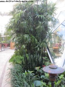 Views from Central Park (Very Calm and classy neighborhood) - Our 39th Atlantis cruise (Allure of the Seas)