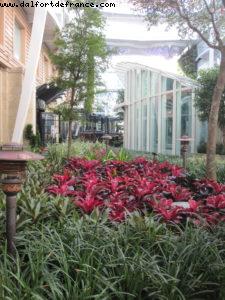 Views from Central Park (Very Calm and classy neighborhood) - Our 39th Atlantis cruise (Allure of the Seas)