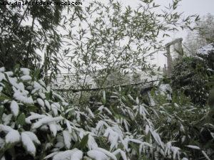Disneyland Paris sous la neige