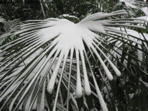 Disneyland Paris sous la neige