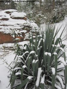 Disneyland Paris sous la neige