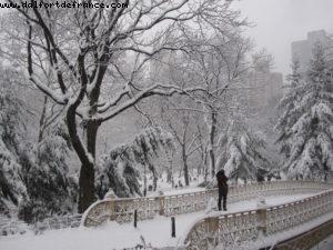 Tempête de neige - New York