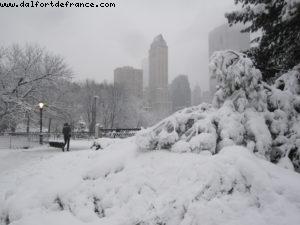 Tempête de neige - New York