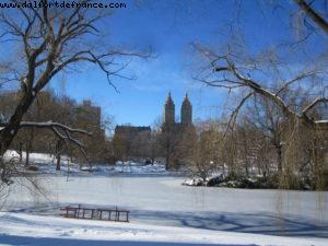 Tempête de neige - New York